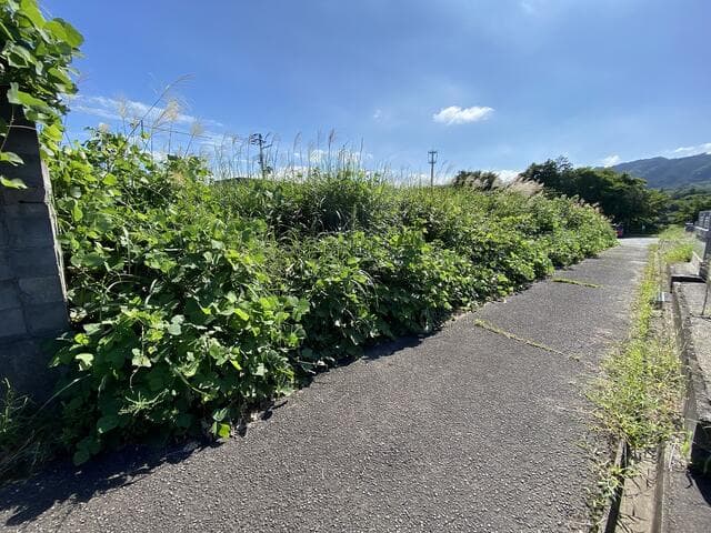 亘理郡山元町 山寺字作田山（山下駅） 住宅用地 - 画像5