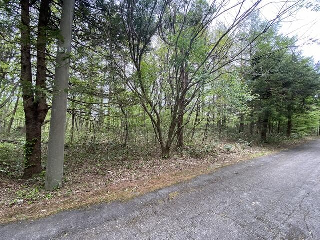 刈田郡蔵王町 遠刈田温泉字上ノ原（白石駅） 別荘用地 - 画像4