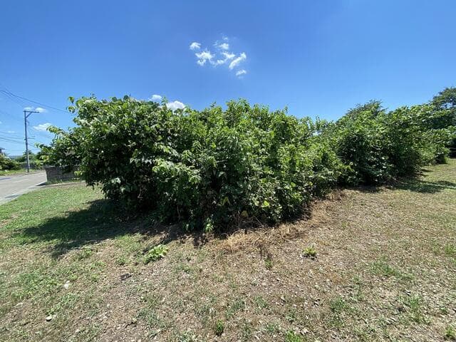 仙台市太白区 秋保町長袋字大原（長町南駅） 住宅用地 - 画像6