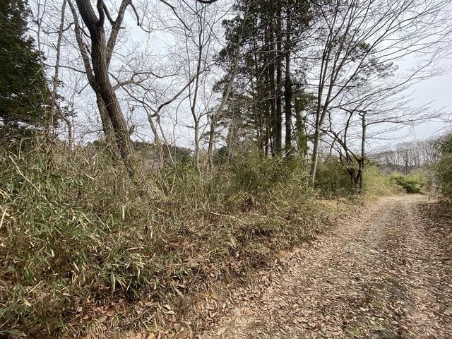 仙台市太白区 長町字越路（八木山動物公園駅） その他用地 - 画像5