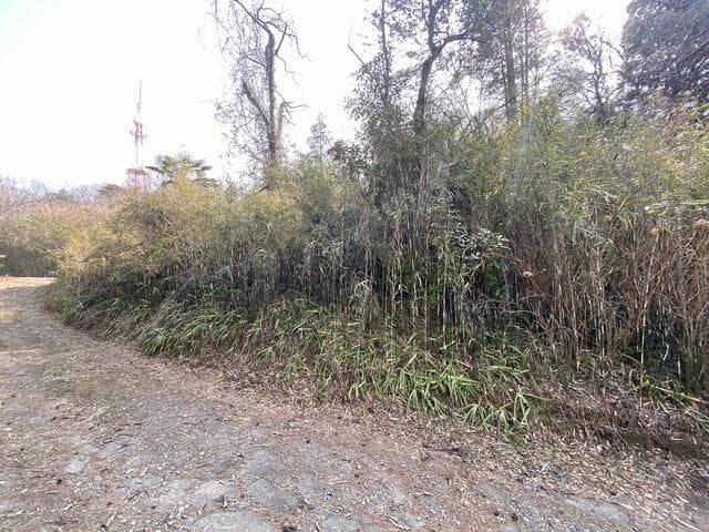 仙台市太白区 長町字越路（八木山動物公園駅） その他用地 - 画像4